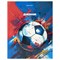 Дневник 1-4 класс 48 л., твердый, BRAUBERG, глянцевая ламинация, с подсказом, "Футбол", 107585 - фото 17317098